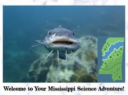 Cover of the Mississippi Science Museum Discovery Book